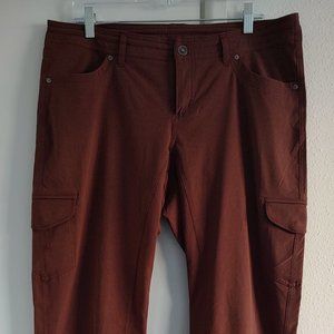 Brown Hiking and Climbing Pants